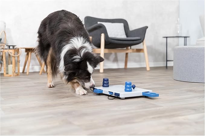 TRIXIE Move-2-Win, Level 3, blue and white (32025)