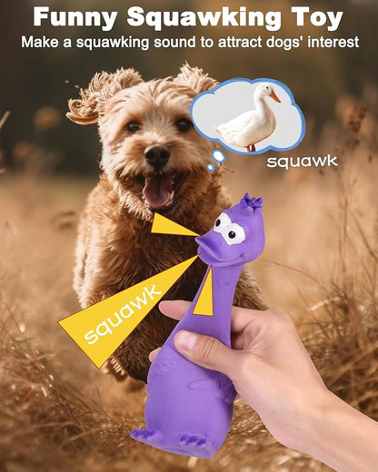 SCHITEC Squeaky Dog Toys, [2 Pack] Squawking Latex Toy with Interactive Squeaker, Squeak Rubber Duck Chicken for Medium Small Dogs