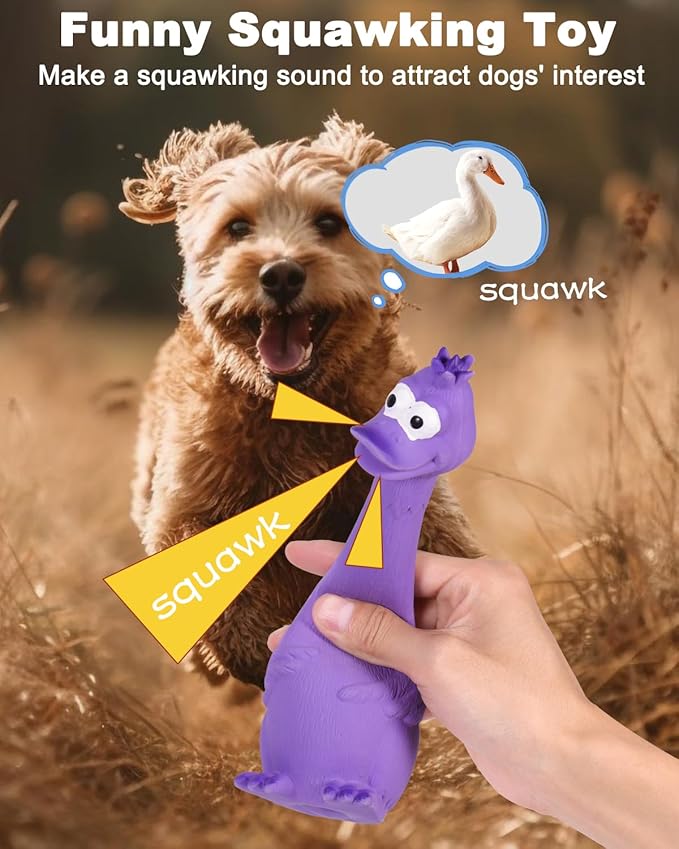 SCHITEC Squeaky Dog Toys, [2 Pack] Squawking Latex Toy with Interactive Squeaker, Squeak Rubber Duck Chicken for Medium Small Dogs