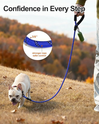 Joytale Dog Leash for Small Dogs, Heavy Duty Nylon Leashes with Comfortable Padded Handle and Highly Reflective Threads, Ideal for Walking and Training, Navyblue, 5'×3/8''