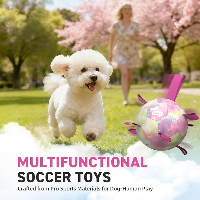 QDAN Dog Balls, Dog Soccer Ball with Straps, Pink Girl Puppy Toy Balls for Small Medium Dogs, Outdoor Water Pool Toys, Puppy Pet Birthday Gifts, Rainbow（6 Inch）