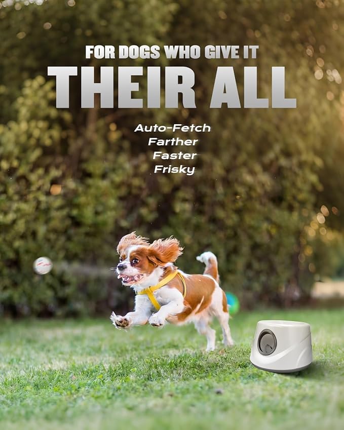Automatic Ball Thrower for Dogs, Ball Launcher with 6 Pack 2.3" Dog Balls (Grey)