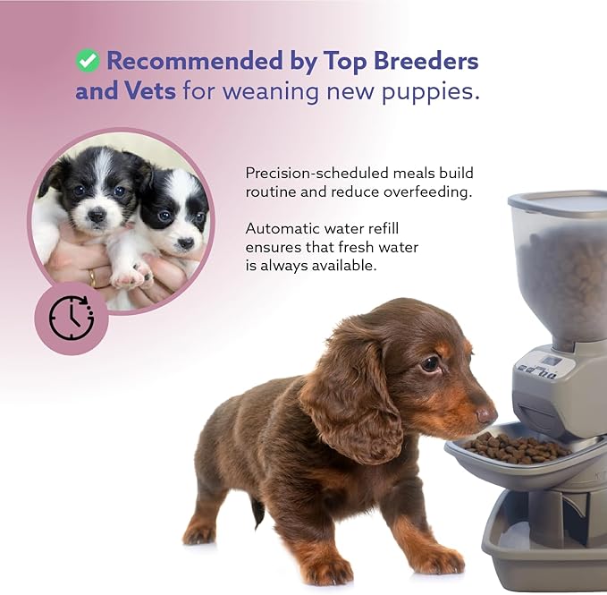 Feeding Friend® Automatic Dog & Cat Food Feeder with Water Dispenser –Smart Pet Feeder with Portion Control, OLED Display, Anti Jam Design, Battery Operated Dispenser for Small - (XS) Pets 4-15 Taupe