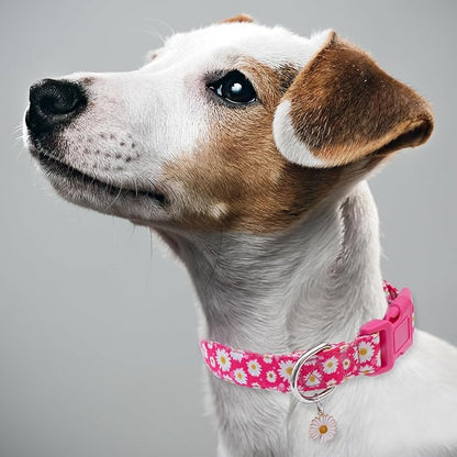 Faygarsle Cotton Dog Collar Cute Dog Collars for Small Medium Large Dogs Hot Pink Floral Colored Options Soft and Fancy Pet Collars for Girls Flower Pattern for Girl Dog Collar XS
