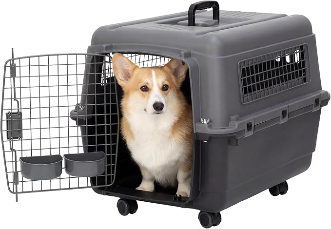 SportPet Airline Compliant MEDIUM 24.25" Travel Dog Kennel-Durable Plastic Airline Pet Carrier w/ Removable Wheels & Food Bowls, Collapsible Indoor/Outdoor Dog Kennel, Dogs up to 23"L & 15"H-Dark Gray