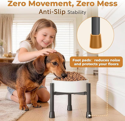 Single Elevated Dog Bowl Stand for Small Medium Breed, Adjustable Width 6-10in, 10in Tall Non-Slip Metal Raised Puppy Food Feeder Water Holder, Fits Various Size Ceramic Stainless Steel Pet Bowl