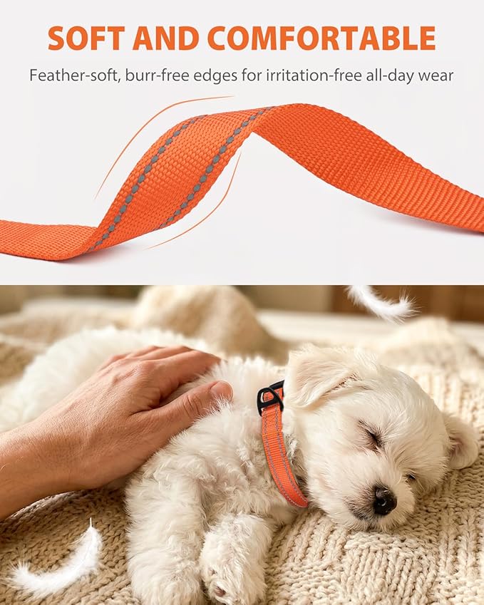 Joytale Dog Collars for Small Dogs, Feather-Light Double-Sided Reflective Nylon Collar for Night Safety, Adjustable Quick-Release for Growing Puppies, Orange, S (5/8" Width)
