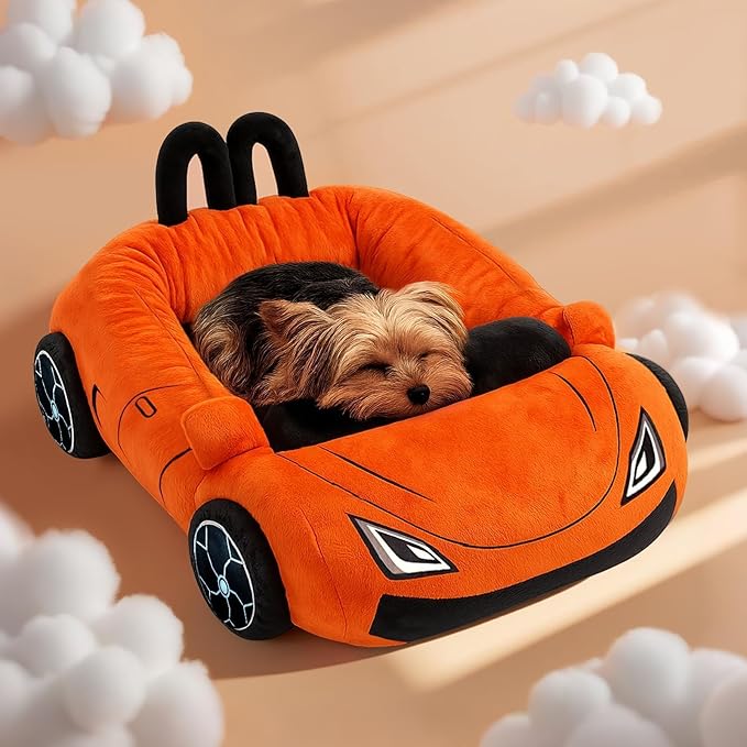 40 Pcs Interactive Cat Toys with Cute Cat Bed, Funny Supercar Kitten Toys for Indoor Kittens, Soft Kitten Beds with Catnip Toys, Chew Rope, Feather Wand, Springs and Balls