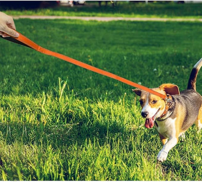 FunTags 4FT Reflective Dog Leash with Soft Padded Handle for Training,Walking Lead for Medium & Small Dogs,3/4 Inch Wide,Orange