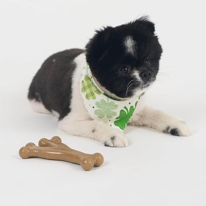SPOT Bam-Bones Wishbone - Made with Strong Bamboo Fiber, Durable Long Lasting Dog Chew for Light to Moderate Chewers, Great Toy for Adult Dogs & Teething Puppies Under 30lbs, 5.25in, Chicken Flavor