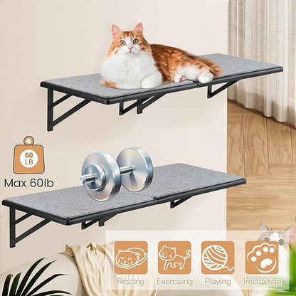 Cat Wall Shelves Set of 4, Purrfect Cat Furniture Set - 4 Piece Wooden Wall Shelves with Scratching Pad, Sleeping & Playing Area, Window Perch for Large Cats - Black