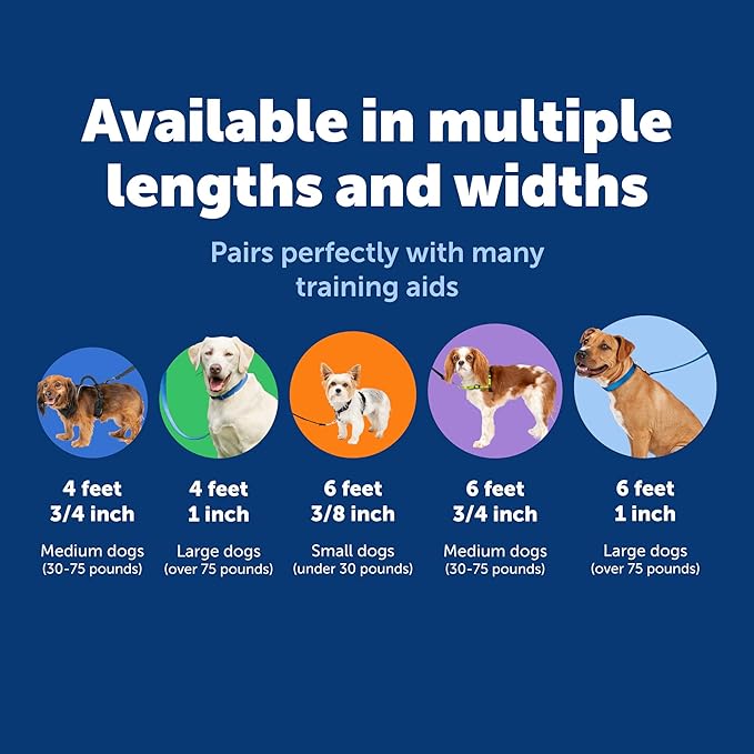 PetSafe Nylon Leash - Strong Nylon for Everyday Walks - Durable Pet Leash with Quick Attach Clip - Comfortable Soft Grip - 4 Feet - Raspberry Pink