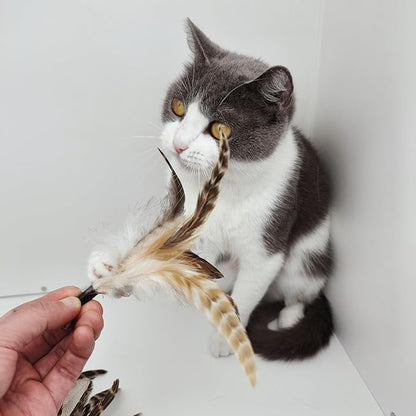 Natural unstained Feathers,8PCS Cat Feather Toys Replacement Wand Toy Refills, Cat Feathers Refill for Indoor Cats,Perfect Wand Attachments