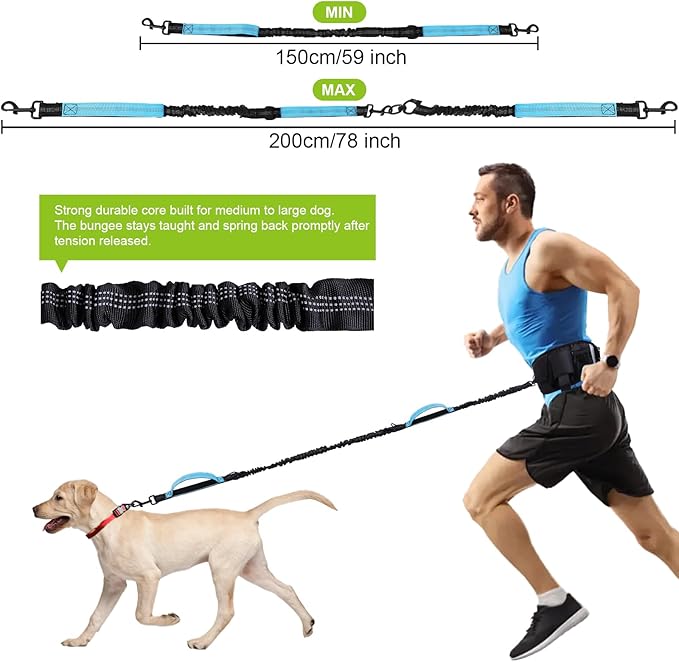 Hands Free Dog Leash, Waist Leash for Dog Walking, Running, Jogging, Waist Leashes with Adjustable Belt, Medium & Large Dogs Running Leashes Hands Free, Dual Padded Handles and Durable Bungee(Blue)