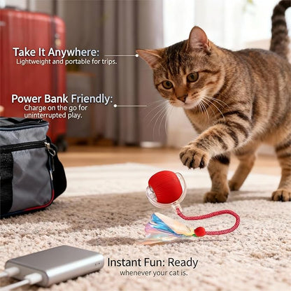 JBD Interactive Cat Toy Ball for Indoor Cats - Silent Automatic Rolling & Self Moving Electric Kitten Toys, USB Rechargeable Smart Ball with Tail, Motion Activated Hunting Exercise for Bored Cats Red