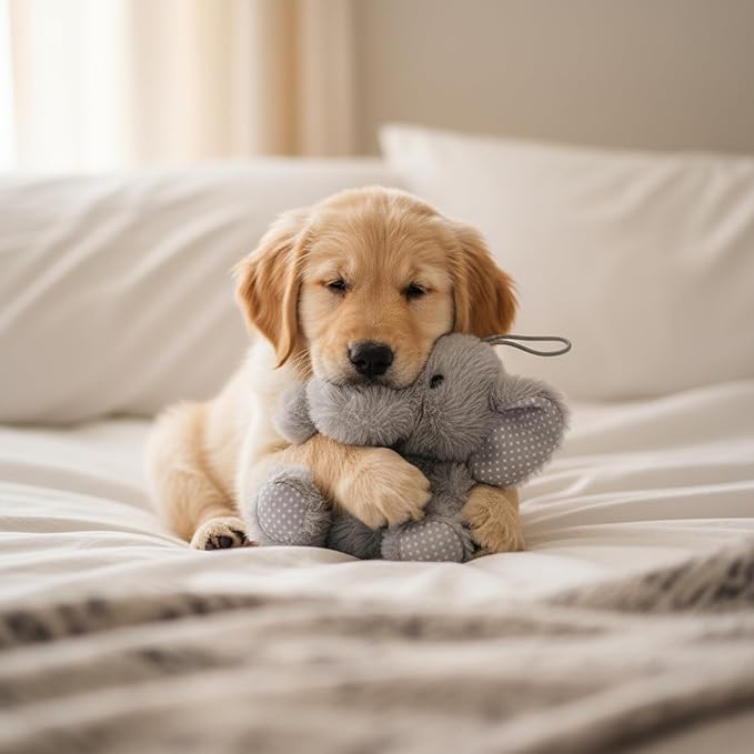 Elephant Dog Toy | Squeaky Elephant | Plush Elephants Dogs Toys | Stuffed Squeaky Chew Dog Toy | Realistic Animal Dogs Toys | Interactive Squeaky Elephants | Small/Medium Breed | Grey | 6"