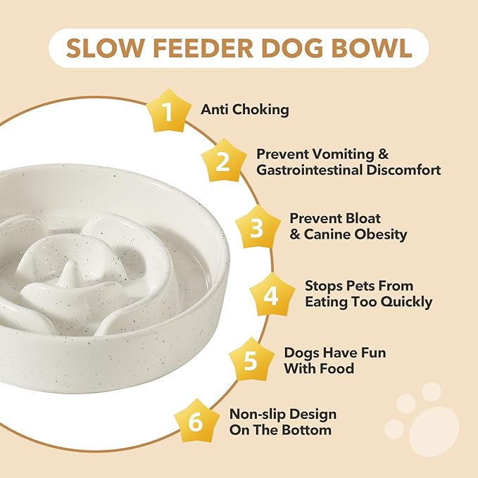 Ceramic 1.2 Cup Raised Slow Feeder Dog Bowl Set, Elevated 6.1inch Bowl and 7.3inch Dish with Acacia Wood Stand for Small and Medium Dogs(2 x Vanilla White+ Stand)