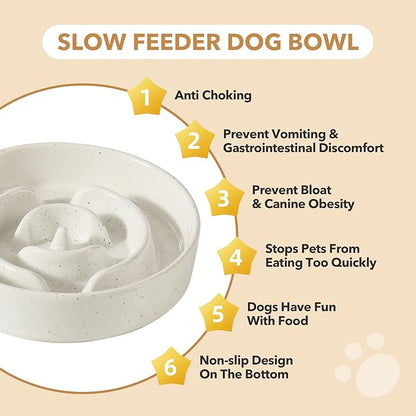 Ceramic 1.2 Cup Raised Slow Feeder Dog Bowl Set, Elevated 6.1inch Bowl and 7.3inch Dish with Acacia Wood Stand for Small and Medium Dogs(2 x Vanilla White+ Stand)