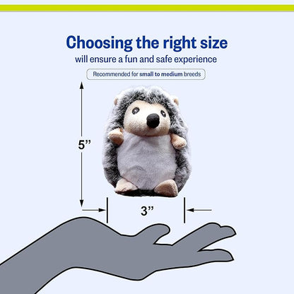 PetSport Tiny Tots Little Hedgie - Hedgehog Stuffed Animal Dog Toy with Squeaker, Interactive Puppy Toy, Squeaky Plush - Little Hegdie (Pack of 1)