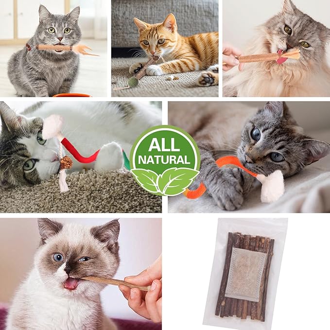 Kyouki Cat Toys Cat Chew Toys, Silvervine Sticks Catnip Rope Toys for Cats Teeth Cleaning, Kitten Dental Care, Kitty for Indoor Cats Increase Appetite,Enhances Oral & Dental Health (21 Pack)