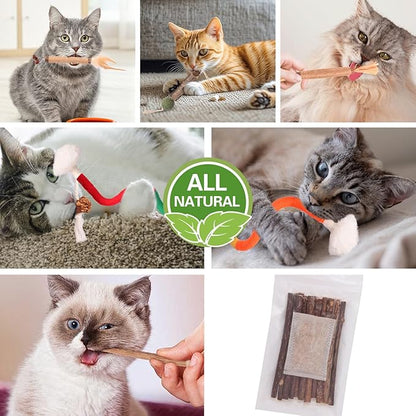 Kyouki Cat Toys Cat Chew Toys, Silvervine Sticks Catnip Rope Toys for Cats Teeth Cleaning, Kitten Dental Care, Kitty for Indoor Cats Increase Appetite,Enhances Oral & Dental Health (21 Pack)