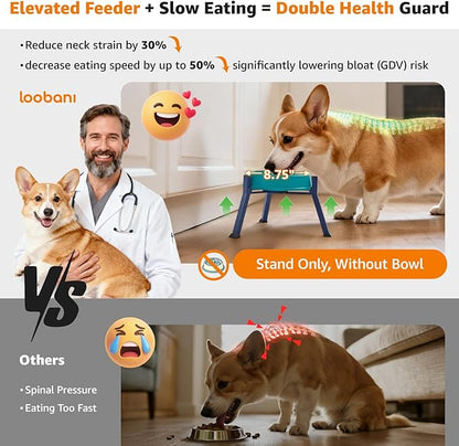 LOOBANI Raised Dog Bowl Stand: Adjustable Width Elevated Dog Bowl Stand Water Food Feeder for Adult, Seniors, Older, Arthritis Dogs, Fits for Bowls Width 5.9"-8.7" (Without Bowls) Deep Blue Medium