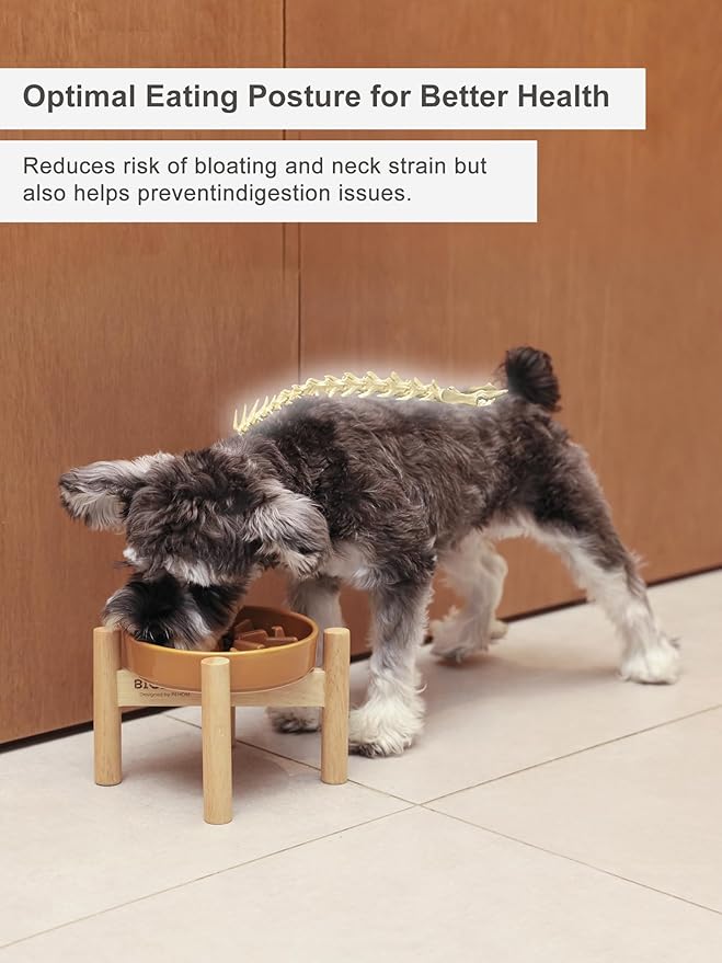 Ceramic Maze Dog Slow Feeder with Non-Slip Silicone Rim (& Bamboo Stand) – Heavy-Duty Stoneware Bowl with Puzzle Pattern for Bloating & Obesity Prevention (Raised-Green-M)