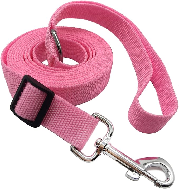 TAIAN Adjustable Nylon Dog Leash, 10 Foot Long Dog Leashes for Medium Large Dogs