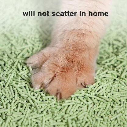 Cat Litter 12LB/2 Packs Dust-Free Clumping Tofu Cat Litter Quickly Absorb Odors Toilet Can Flush Into The Toilet Pure Natural tofu cat Litter (Green Tea)
