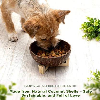Handmade Natural Coconut Shell Dog Bowl, Eco-Friendly Pet Food Dish, Easy-to-Clean Sustainable Feeding Bowl for Small Dogs