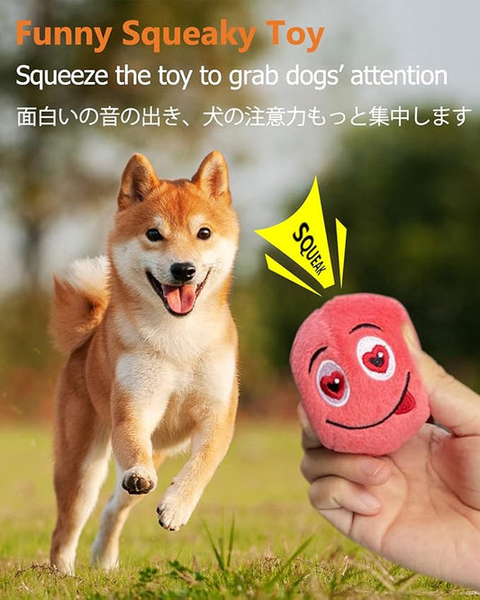 SCHITEC Squeaky Dog Toys, [6 Pack] Soft Stuffed Plush Balls with Squeakers, Interactive Fetch Play for Puppy Small Pets