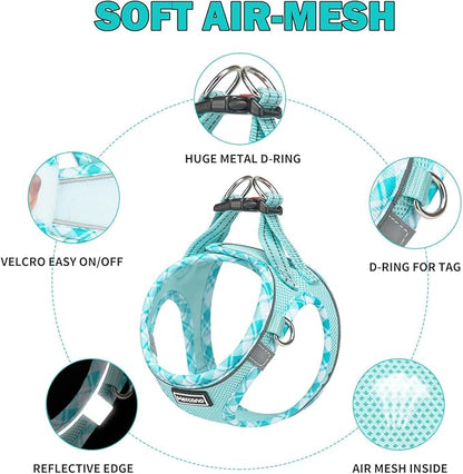 Mercano Soft Mesh Dog Harness and Leash Set, No-Chock Step-in Reflective Breathable Lightweight Easy Walk Vest Harnesses with Safety Buckle for Small Dogs, Cats (Light Blue, XS)