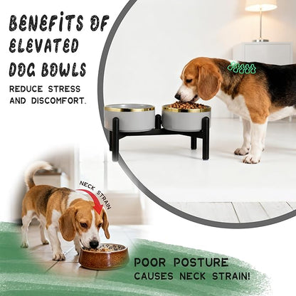 Ceramic Elevated Dog Bowl Set - Dog Feeder Station with Double Bowls for Small and Medium Size Breed - Non-Slip Raised Dish for Food and Water Feeding- 6 Inch - 3.5 Cups / 22 fl oz - Green