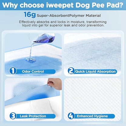 4XL Puppy Pads 36"x51" 40 Count, Pee Pads for Large Dogs & Multi-pet Families, Ultra Absorbent & Quick-Dry, Disposable Pet Training Pads for Doggie, Cat , Leakproof Incontinence Underpads