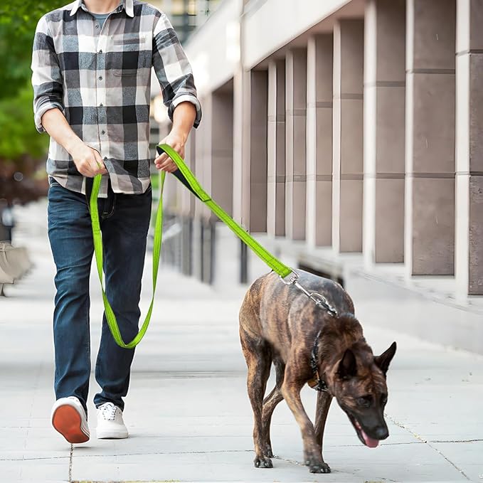 6 FT Dog Leash with 2 Padded Handle Nylon Reflective Dogs Leashes for Small Medium Large Dogs Green