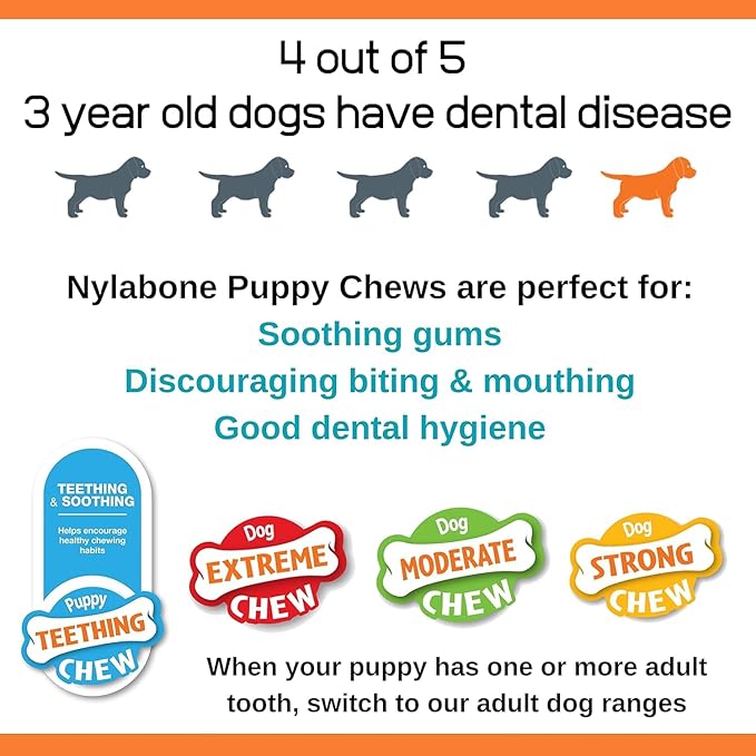 Nylabone Rubber Teether Puppy Chew Toy, Teething Toys for Puppies, Vanilla Flavor, Small - Up to 25 lbs, 1 Count
