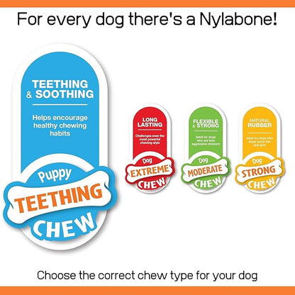 Nylabone Rubber Teether Puppy Chew Toy, Teething Toys for Puppies, Vanilla Flavor, Small - Up to 25 lbs, 1 Count