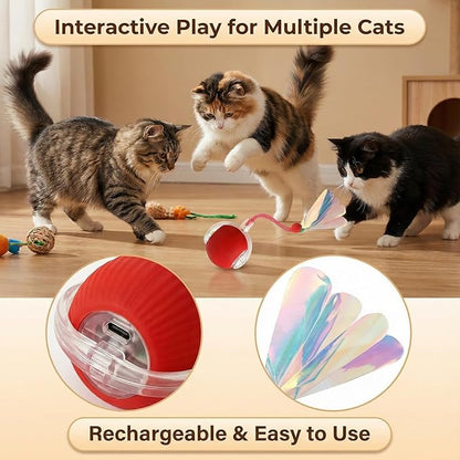 JBD Interactive Cat Toy Ball for Indoor Cats - Silent Automatic Rolling & Self Moving Electric Kitten Toys, USB Rechargeable Smart Ball with Tail, Motion Activated Hunting Exercise for Bored Cats Red