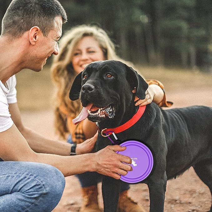 Collapsible Dog Bowls for Travel, 2-Pack Dog Portable Water Bowl for Dogs Cats Pet Foldable Feeding Watering Dish for Traveling Camping with Carabiners, BPA Free (Purple&Pink, Medium (Pack of 2))