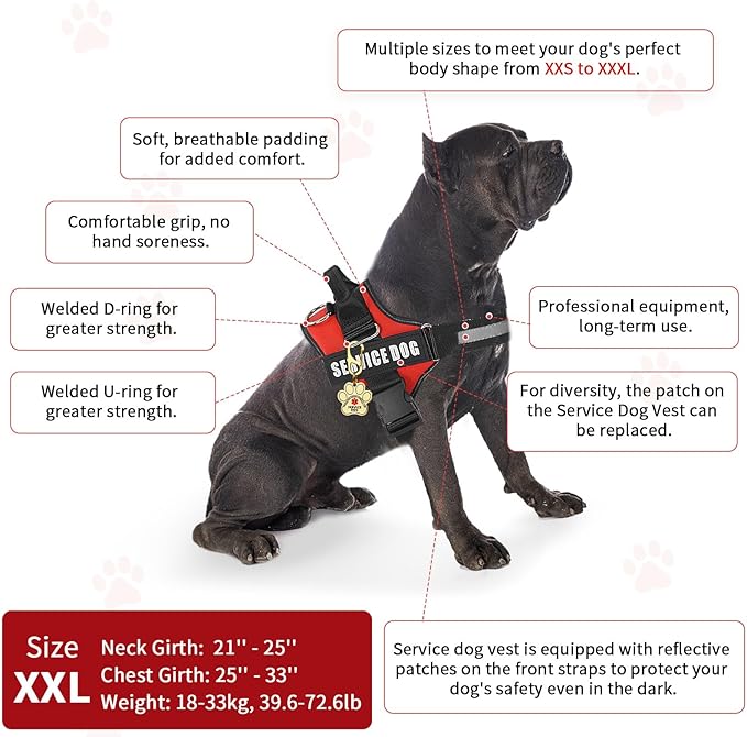 Service Dog Vest, ID Tag + 50 ADA Information Cards, Service Dog Harness w Patch in Sizes X Small to XX Large, Ruggedized Metal Tag, Service Animal Information Cards, ESA Accessory Set XX-LARGE