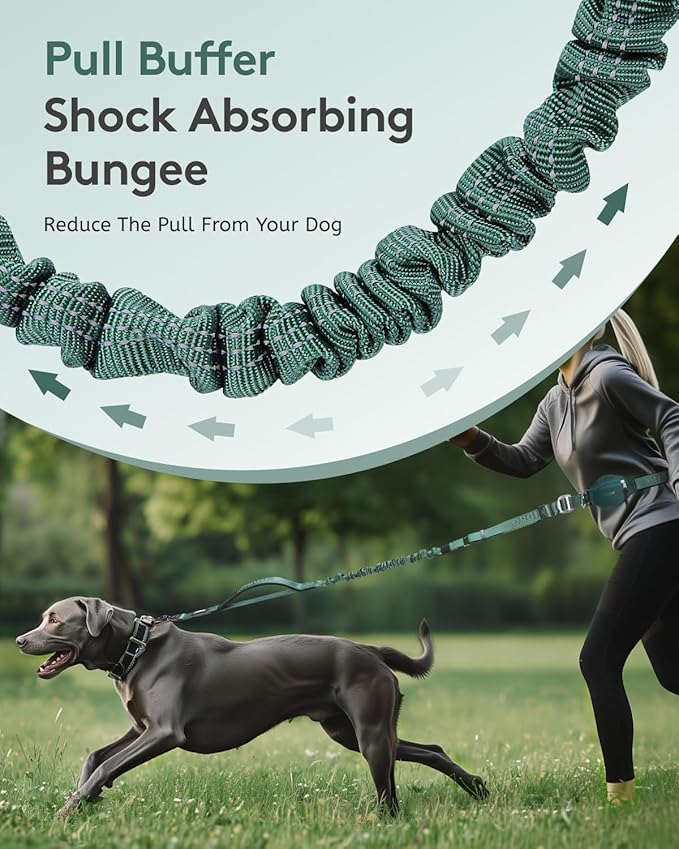 MIDOG Multifunctional Dog Leash Hands Free for Large Dogs - Adjustable Waist Leash with Zipper Pounch& Bungee Cord for Jogging/Running/Walking(4-7FT,Green)