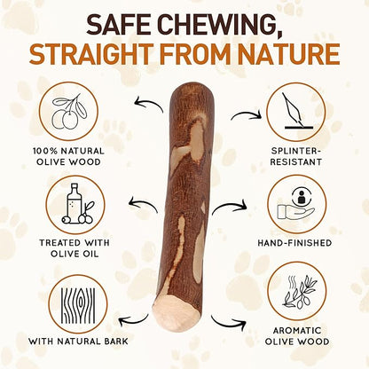 Wildfang® Olive Wood Chewing Sticks for Dogs, Medium - Tough Chew Toys for Aggressive Chewers, Puppy Chew Toys for Teething, Training for Chewing Muscles, Olive Wood Stick for Dog (33-55lbs)
