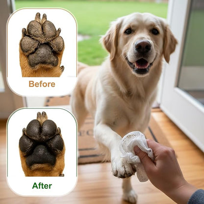 4 Pack Dog Wipes for Paws 5 x 7 Inches Ultra Soft Cotton with Cherry Blossom Scent Gentle Cleansing Pet Wipes for Fresh Smelling Dog After Walks, 280 Per Total
