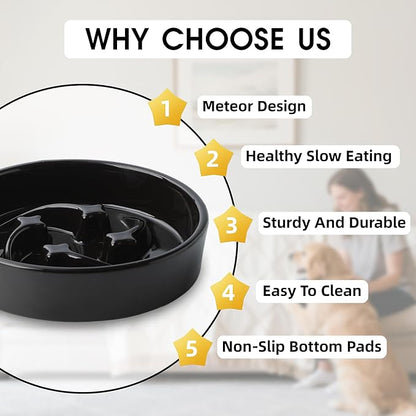 Ceramic Slow Feeder Dog Bowls Small Breed, 0.6 Cups Slow Eating Dog Bowl, Anti-Gulping Puppy Food Bowl Reduce Choking, Puzzle Maze Design Pet Dishes for Fast Eaters, 6.3 inch - Black