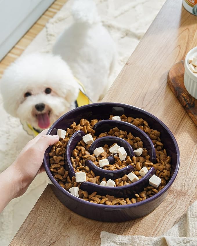 LE TAUCI Ceramic Slow Feeder Bowl, 1.5 Cups for Small Medium Breed Dogs, Puzzle Dish to Slow Down Eating for Fast Eaters