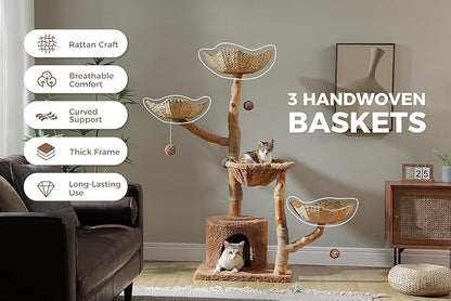 59" Cat Tree Tower with Real Solid Wood Natural Branch, Modern Cat Tree for Large Cats w/3 Handwoven Wicker Baskets- Luxury Boho Cat Furniture w/Condo & Soft Hammock, Scratching Post, Brown