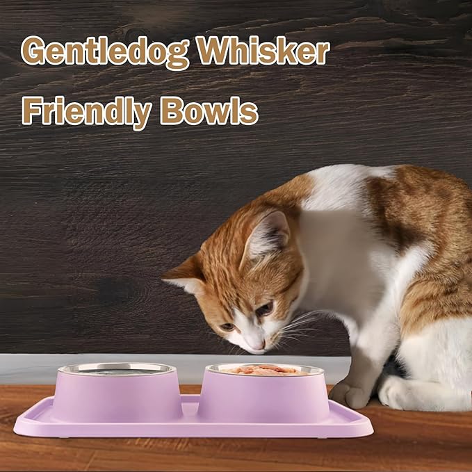Cat Bowls for Food and Water, Upgrade Cat Food Bowls for Indoor Cats, Premium Removable Stainless Steel Double Bowls with Silicone Anti-Slip Pads, Water Bowl for Cats and Dog (Pink Purple)