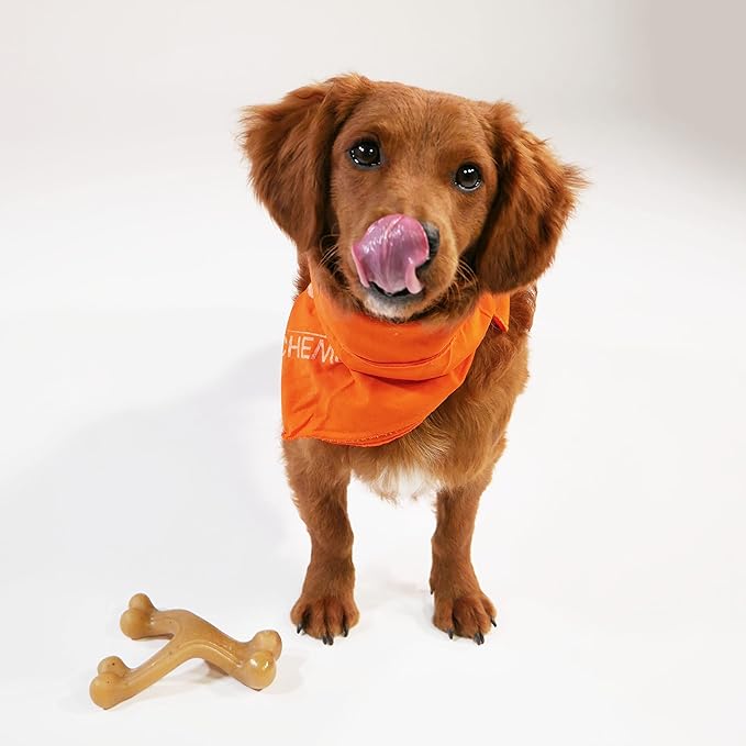 Nylabone Gourmet Style Strong Chew Toy Bundle, Toys for Dogs, Bacon & Peanut Butter Flavor, Small - Up to 25 lbs, 3 Pack