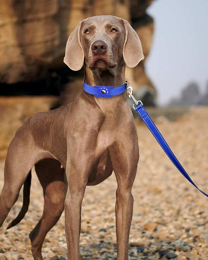 Reflective Dog Leash 4ft Soft Padded Handle Nylon Lead for Small & Medium Dogs, Durable Walking Training Leash for Night Safety (Royal Blue,1Inch Wide)