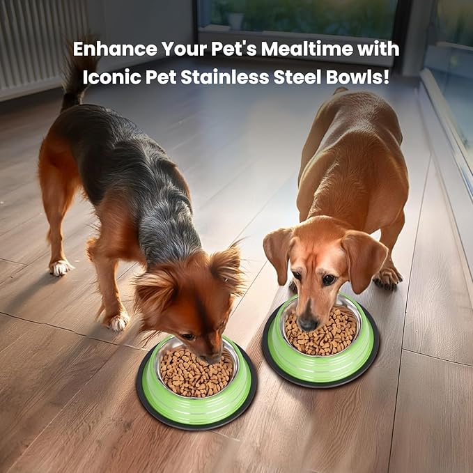 Iconic Pet Color Splash Stripe Non-Skid Stainless Steel Dog & Cat Bowl - Green, 24 Oz, 3 Cup, Durable, Easy to Clean, Anti-Slip Feeding Dish for Food & Water, Stylish Design for Dogs and Cats